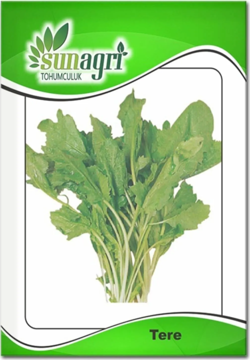 Geniş Yapraklı Tere Tohumu - İştah Açıcı Aromalı, Taze Tüketim İçin İdeal