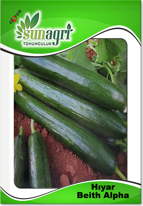 Beith Alpha Hıyar Tohumu - Yüksek Verimli, Lezzetli ve Açık Tarla İçin Uygun
