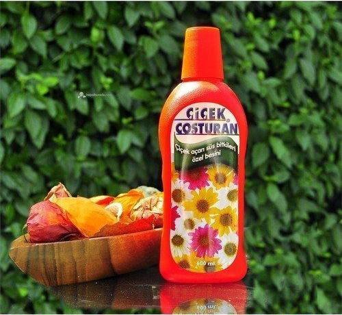 Çiçek Coşturan Çiçek Açan Süs Bitkileri İçin