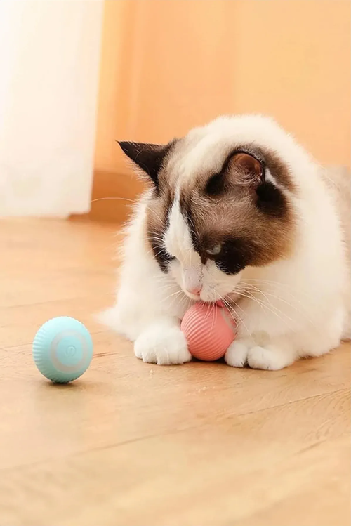 Gravitational Şarjlı Otomatik Haraketli Kedi Oyun Topu 4 cm