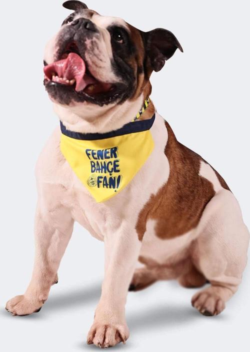 FB FAN PET BANDANA SARI