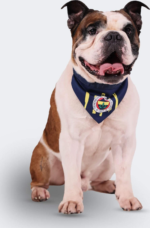 FB LOGO PET BANDANA LACİ
