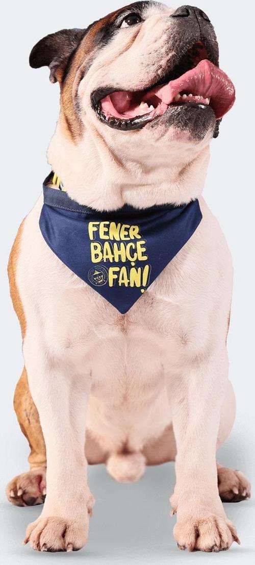 FB FAN PET BANDANA LACİ