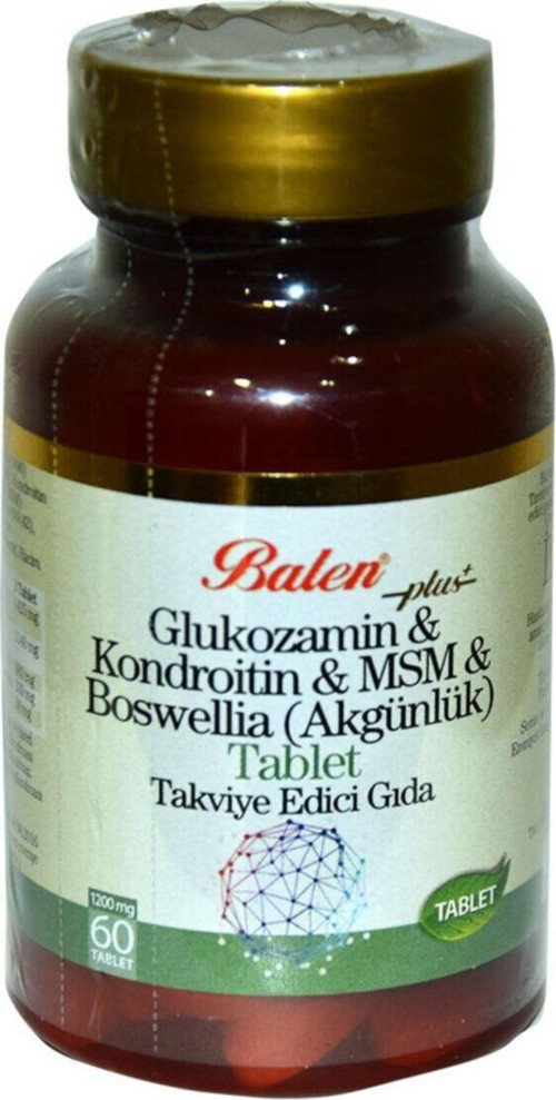 Glukozamin Kondroitin Msm 60 Tablet