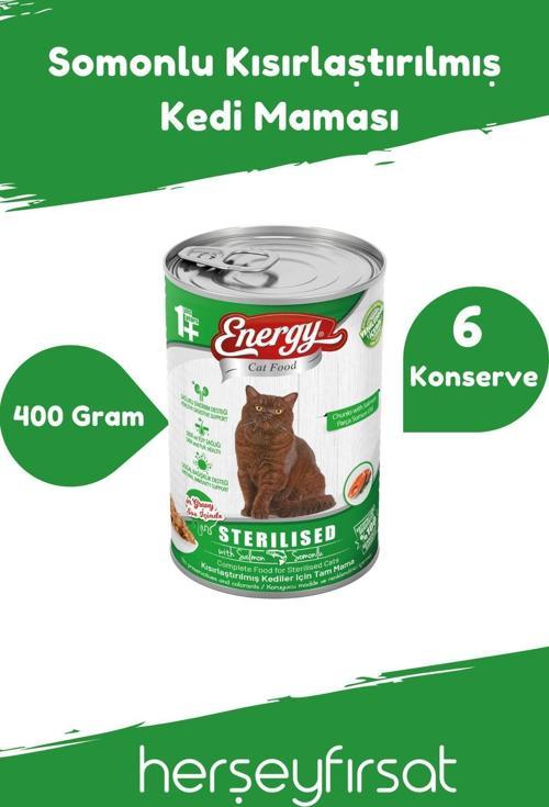 Somonlu Kısırlaştırılmış Kedi Maması-400 Gram-6 Konserve