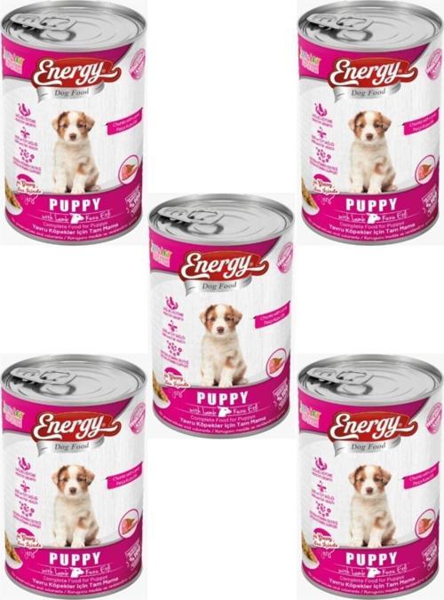 Dog Food Kuzu Etli Yavru Islak Köpek Maması 5'Li – 400 G