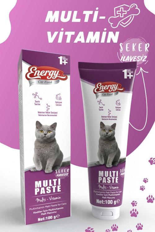 Multi Paste 100Gr Multivitamin Malt (Bağışıklık Sistemi Destekleyici Tüy Yumağı Önleyici)