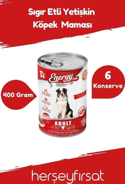 Sığır Etli Yetişkin Köpek-400 Gram-6 Konserve