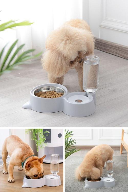 Kedi Köpek Mama Ve Su Kabı Kaseli Otomatik Su Sebili Büyük Boy Depolama