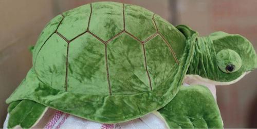 Hs13024 55 Cm Kablumbağa