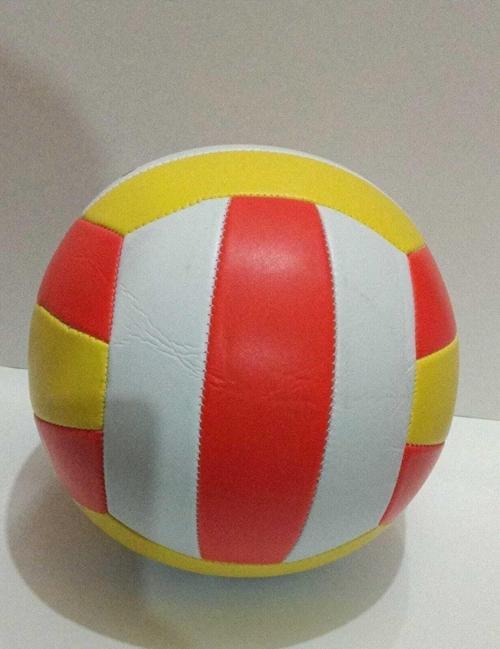 Voleybol Topu