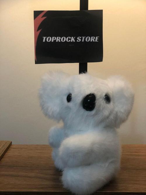 Toprockstore Sevimli Koala Peluş Oyuncak Hediyelik Oyuncak Anahtarlık Uyku Arkadaşı 15 Cm