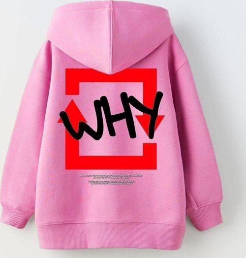 Kapüşonlu Içi Polar Why Baskılı Pembe Unisex Çocuk Hoodie Sweatshirt