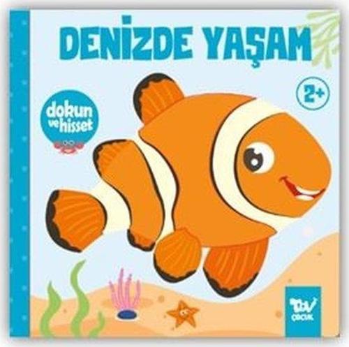 Denizde Yaşam - Dokun ve Hisset