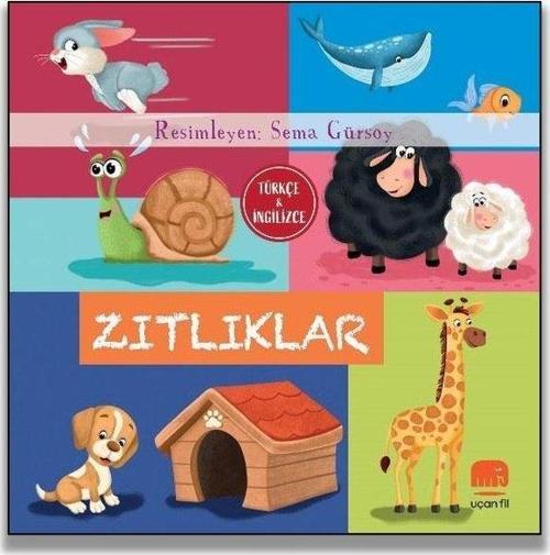 Zıtlıklar - Türkçe ve İngilizce