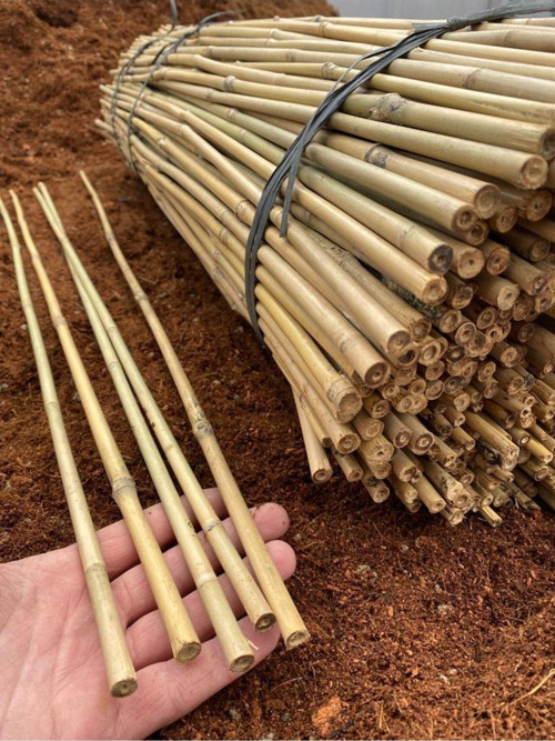 10 Adet Ithal Gerçek Bambu Bitki Destek Çubuğu 90 Cm. - Gerçek Bambu Çubuk