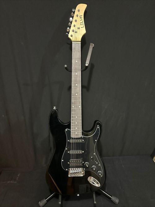 Elektro Gitar Hss Manyetik Kılıf Kablo Pena