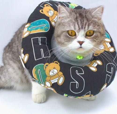 Kedi Köpek Yakalık Ayı Figürlü Small No:2