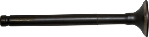 MONDIAL 50TT EGZOZ SUPABI #Y4MON0010A0031