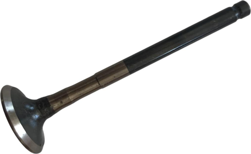 PLEASURE DUET EGZOZ SUBAP #HR-ORT F2903