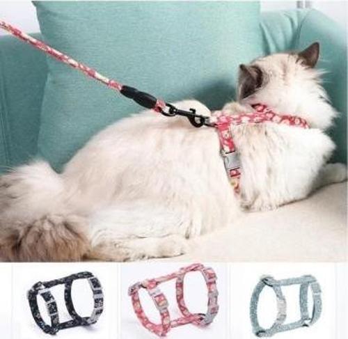 Kedi Gezdirme Göğüs Tasması