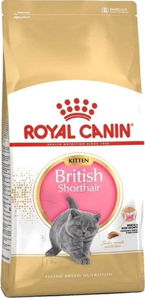 British Shorthair Kitten Kedi Kuru Maması 2 X 2 Kg