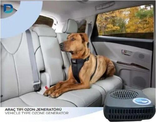 Araç Tipi 0,2G/H Ozon Jeneratörü