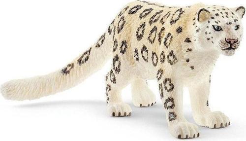 Kar Leoparı 14838