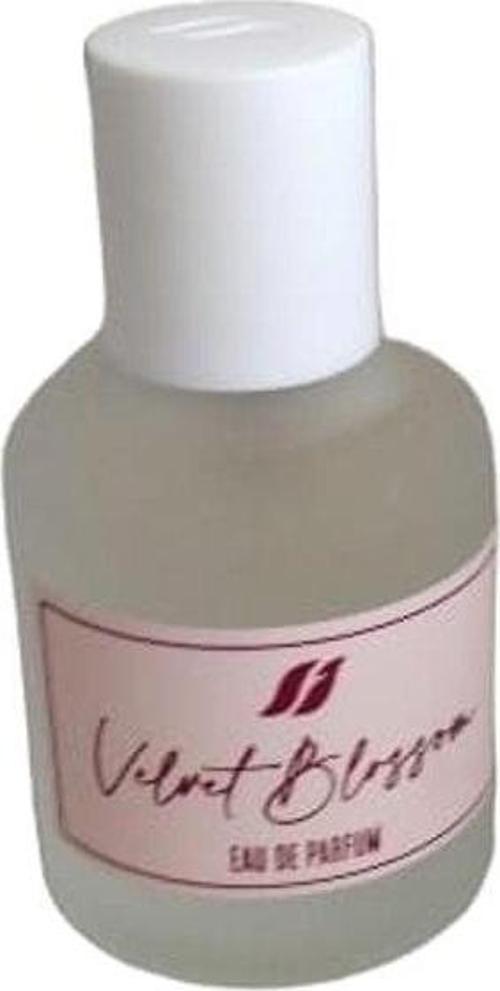 Velvet Blossom Kadın Parfüm 50 Ml