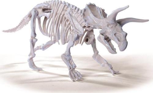 Dino İskelet Kazı Seti Triceratops 104342547