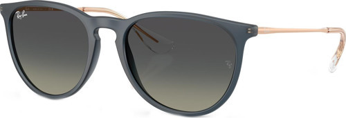 RB4171 681311 54 Unisex Güneş Gözlüğü