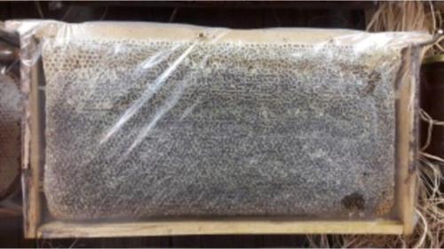 Erzurum Petek Çiçek Balı(3000-3200Gr)