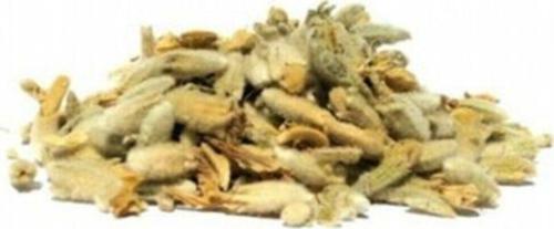 Sarı Ballı Baba Otu 100Gr