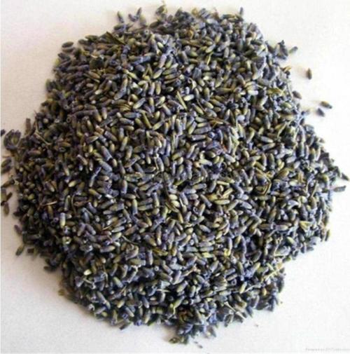 Lavanta Kurusu 100 Gr