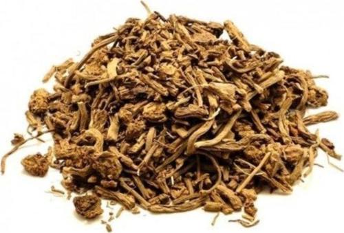 Zbd Kediotu Kökü 50 Gr