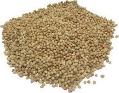 Tane Kişkiş 1.Sınıf Organik Dökme - 250 Gr