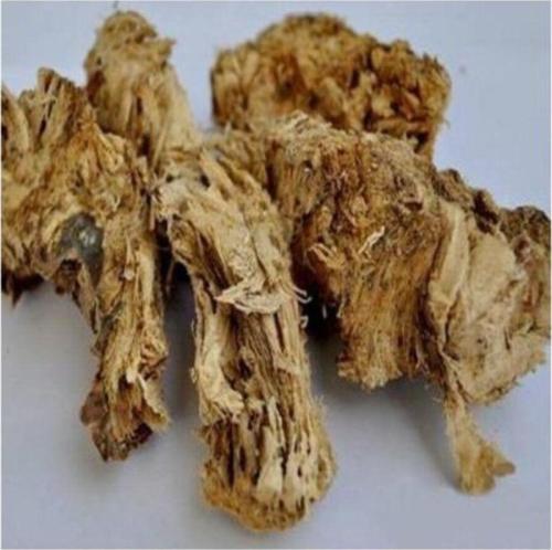 Çakşır Kökü - Çakşır Otu 100Gr