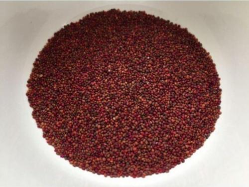 Roka Tohumu 1.Sınıf Organik Dökme - 250 Gr