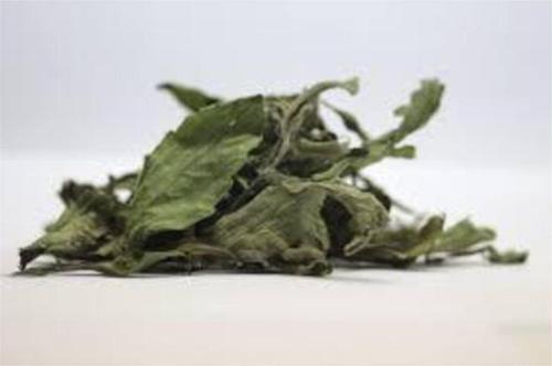 Stevia 50Gr