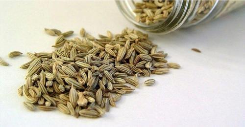 Tane Rezene 100Gr