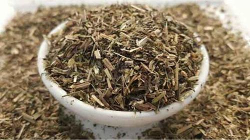 Yoğurt Otu 50Gr