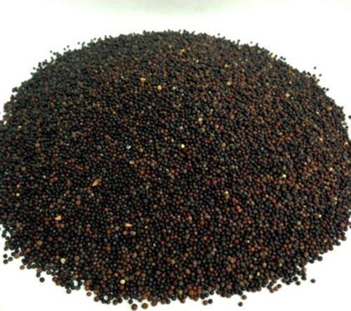 Siyah Hardal Tohumu 50 Gr