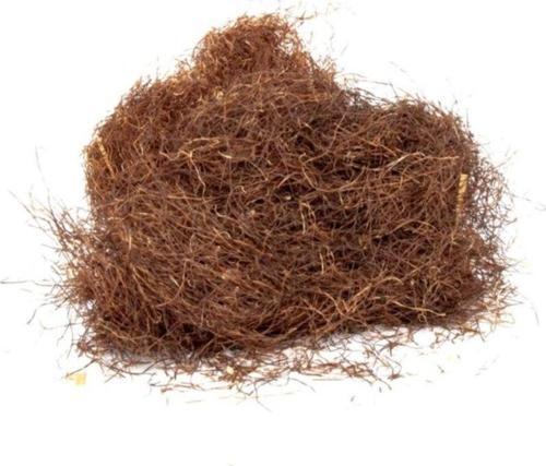 Mısır Püskülü 100 Gr