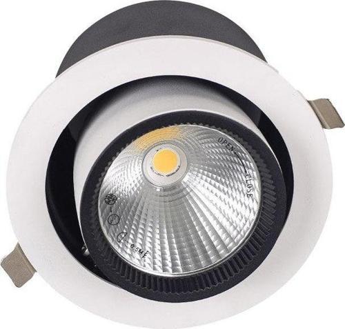 30W 4000K COB LED SALYANGOZ ARMATÜR (BEYAZ KASA)