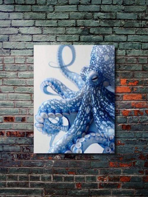 Etkileyici Ahtapot, Hayvanlar Alemi Posteri, Özel Tasarım Kağıt Poster, Duvar Sanatı