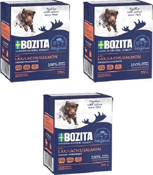 Somon Balıklı Tahılsız Köpek Yaş Maması 370 Gr. X 3 Adet