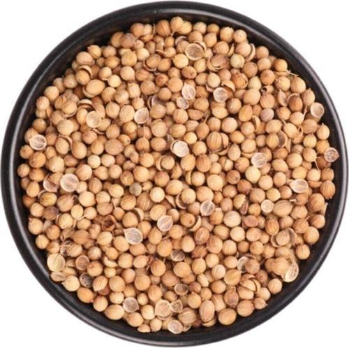 Kişniş Tane Baharat 1000 Gr