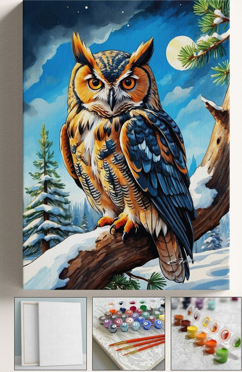 Sayılarla Boyama Tuval Seti Fırça Boya Dahil (Çıtalı) 40X50 Cm - Kış Ve Baykuş