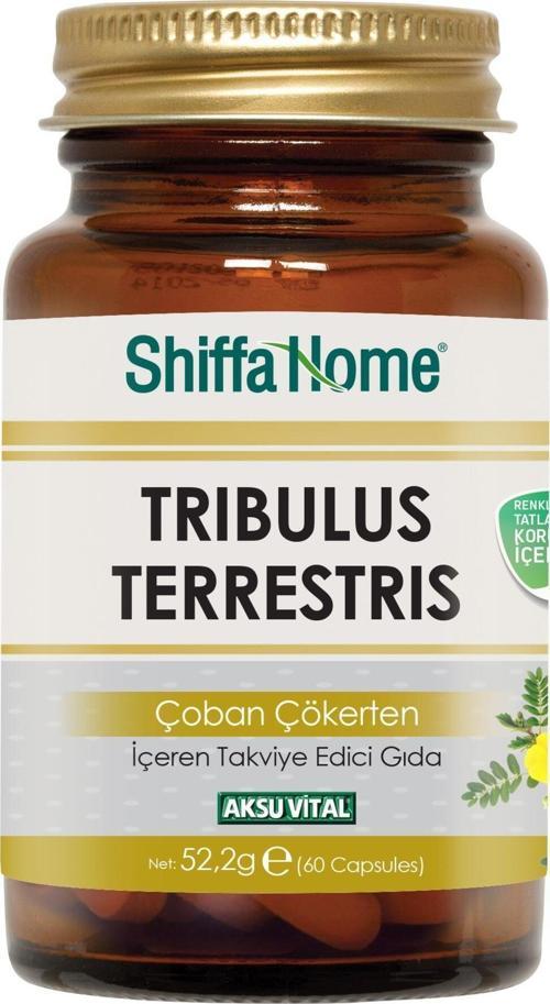 Trıbulus Terrestrıs Çoban Çökerten Kapsül