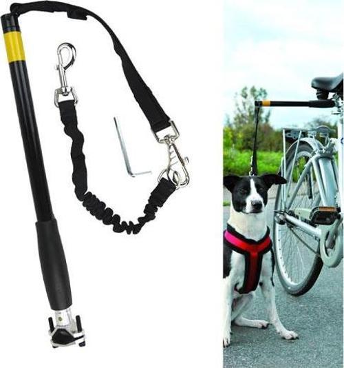 Bisiklete Takılabilen Tasma - Petshopundan